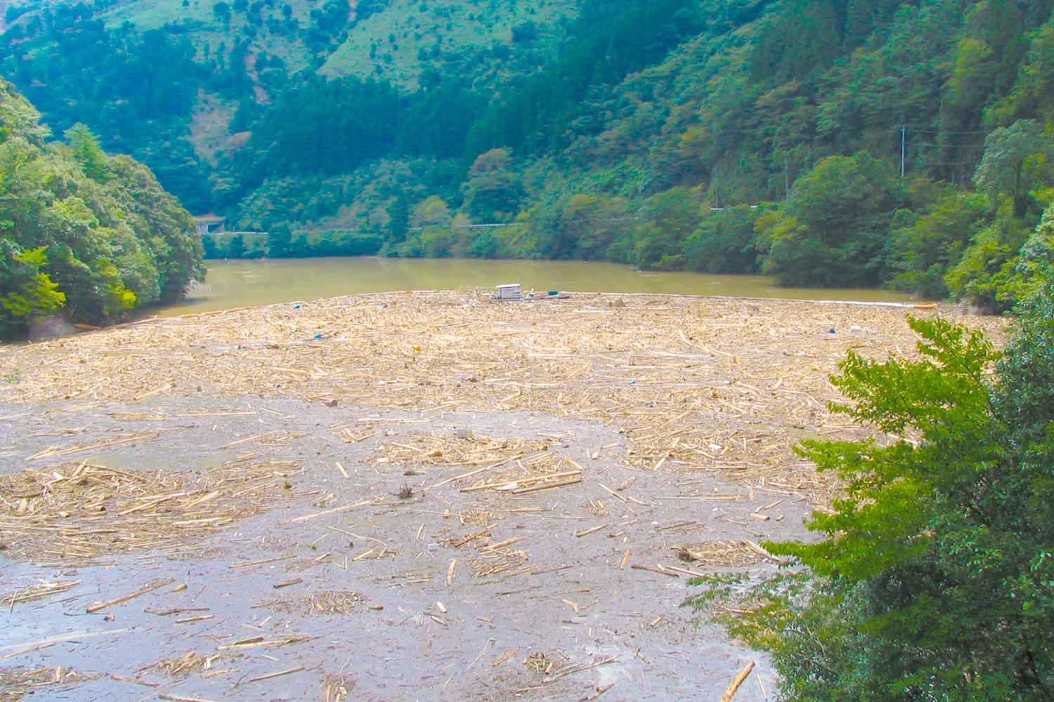 株式会社ニシコー